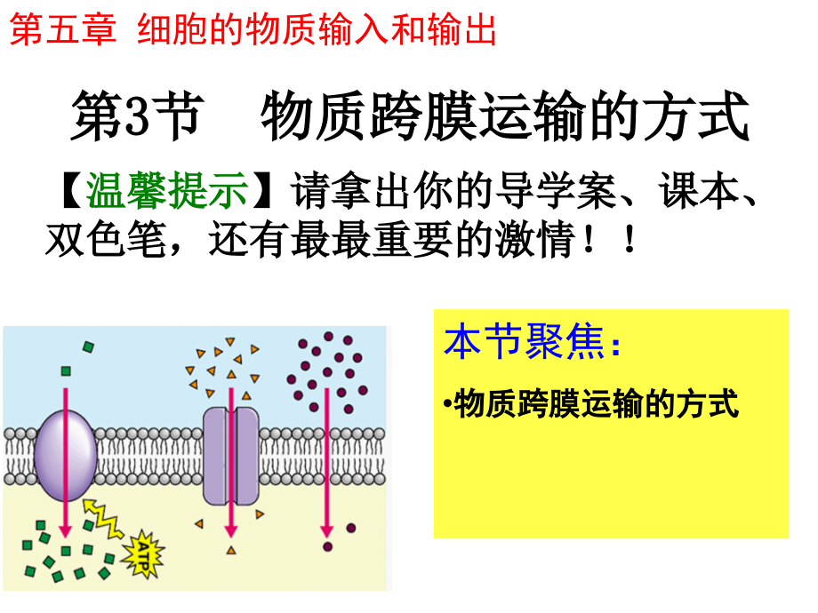 人教版高一生物必修一物质跨膜运输的方式_第2页