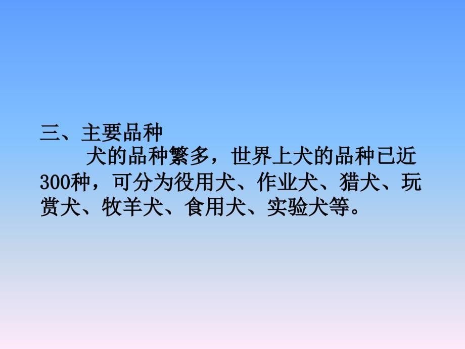 常用实验动物的特点及应用12_第5页