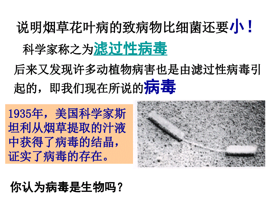 没有细胞结构的微小生物——病毒_第4页