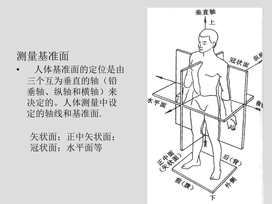 人体测量与人体尺寸_第3页