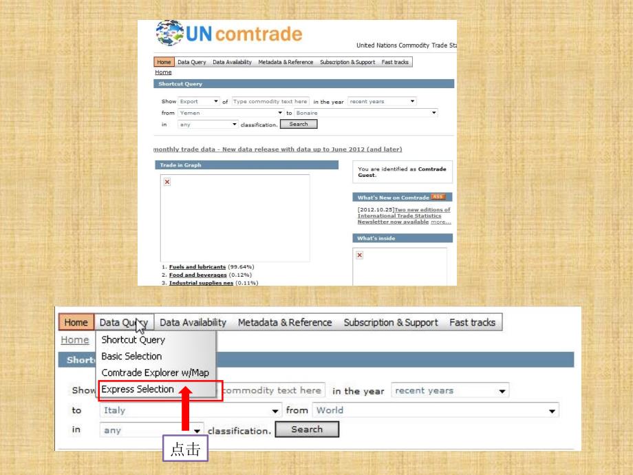UNComtrade使用指南(浏览选择ExpressSelection)_第4页