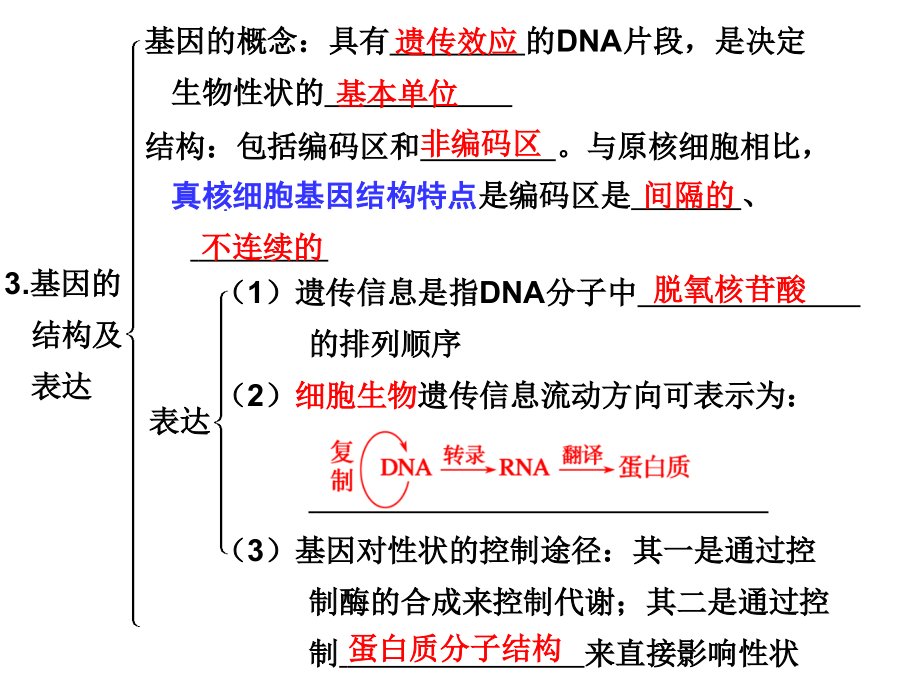 专题遗传的物质基础与基因工程_第3页