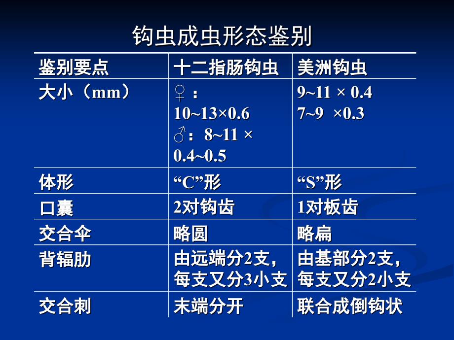 实验二、线虫基本实验方法：透明胶纸法(多媒体演示)经典_第4页