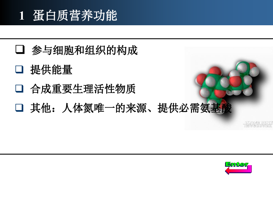 1能量营养素及能量代谢_第4页