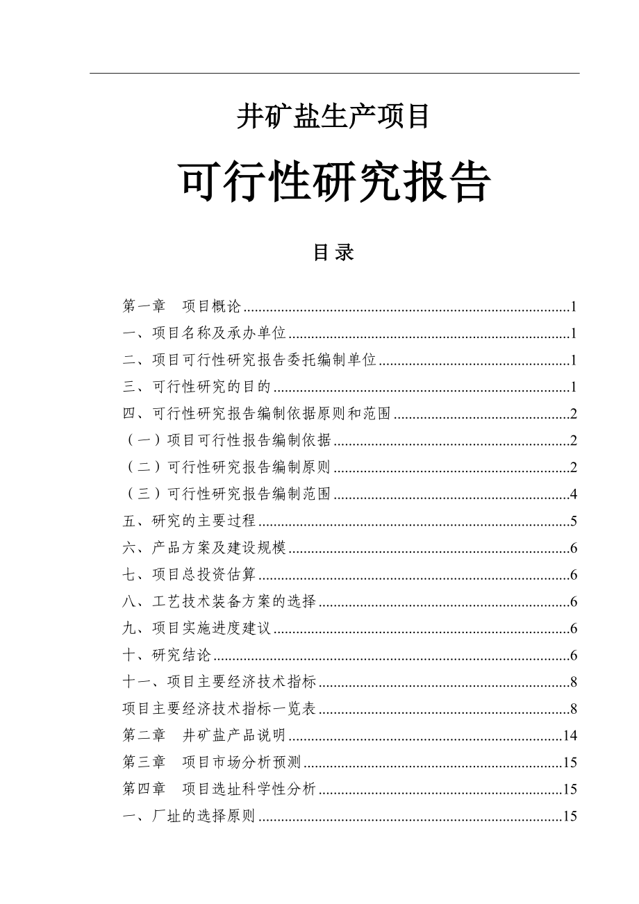 井矿盐项目可行性研究报告_第1页