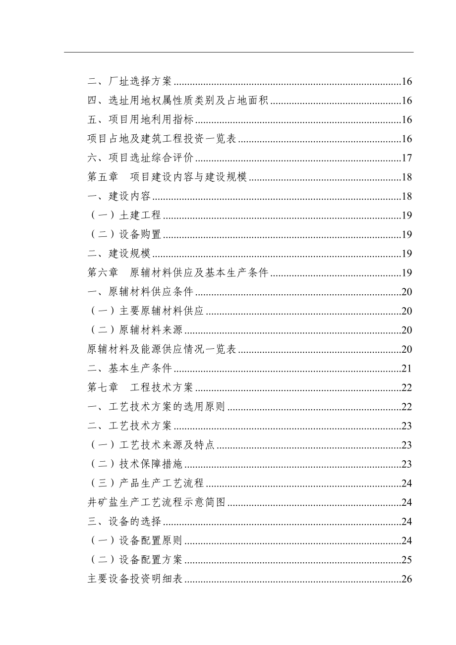 井矿盐项目可行性研究报告_第2页