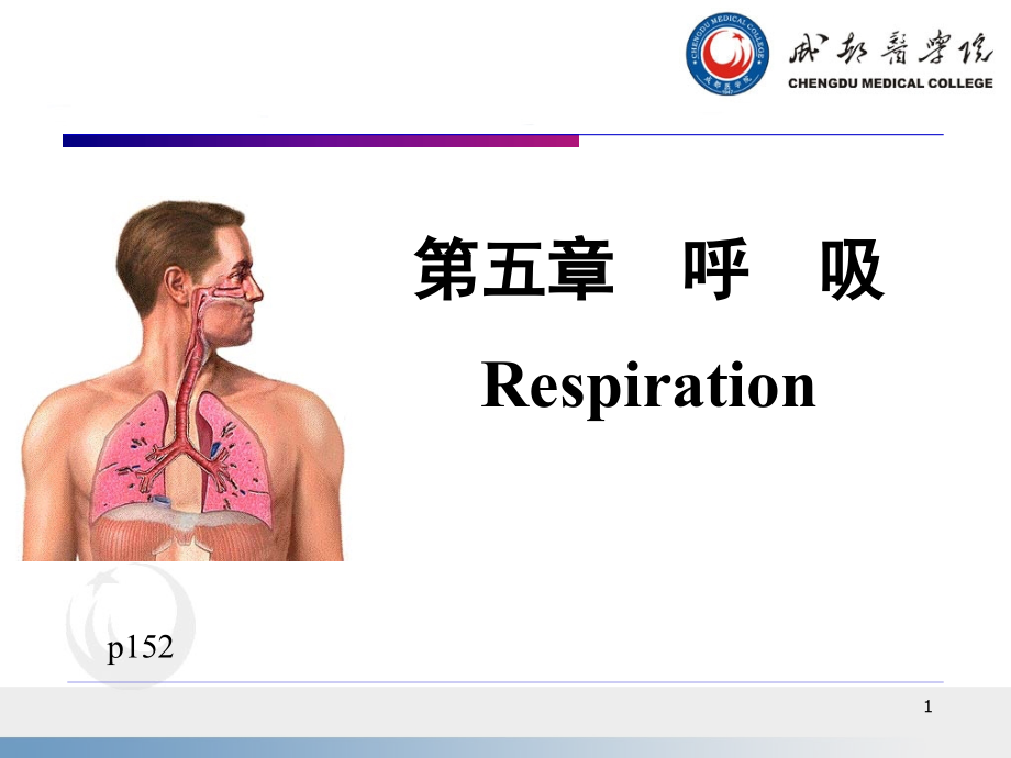 5.呼吸（8版-生理学本科））_第1页