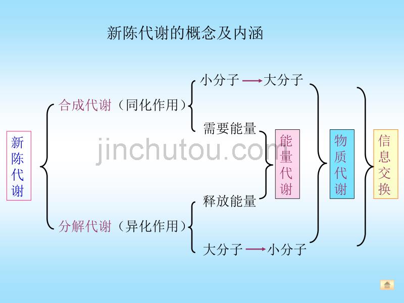 代谢引论和生物能学概述_第5页