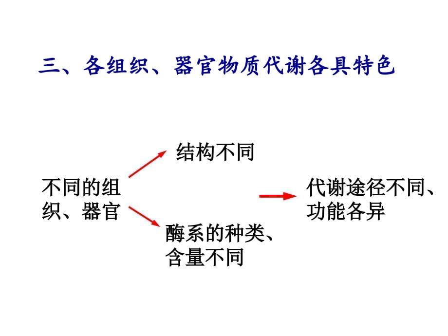 代谢调控培训课件_第5页