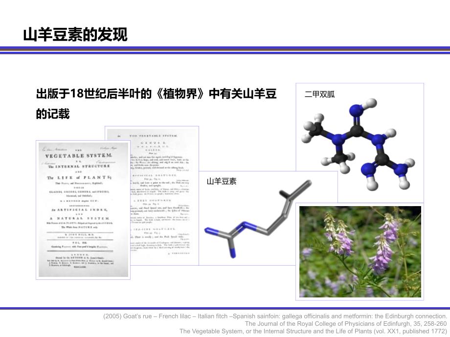 二甲双胍金标准（核心版）_第3页