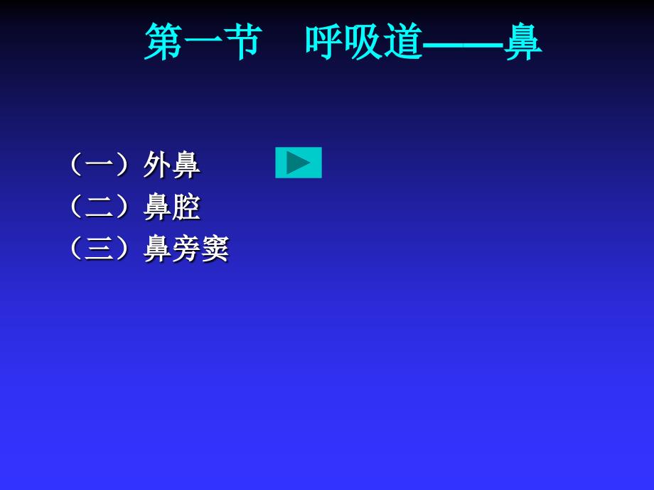 人体解剖学与组织胚胎学--呼吸系统_第3页