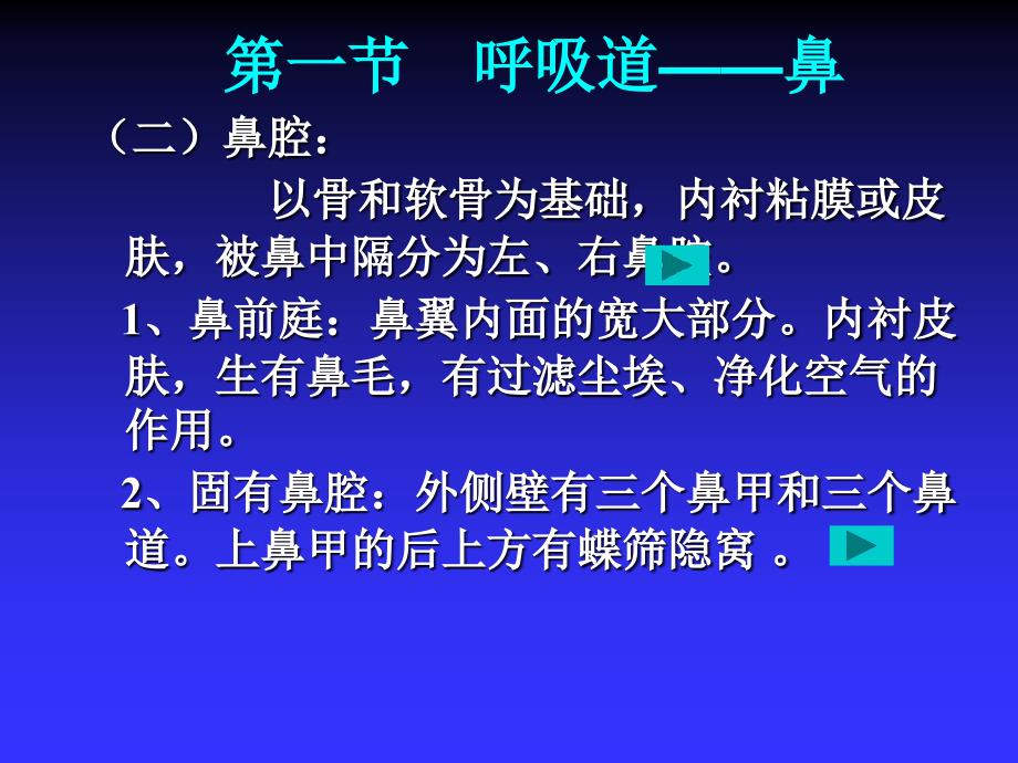 人体解剖学与组织胚胎学--呼吸系统_第4页