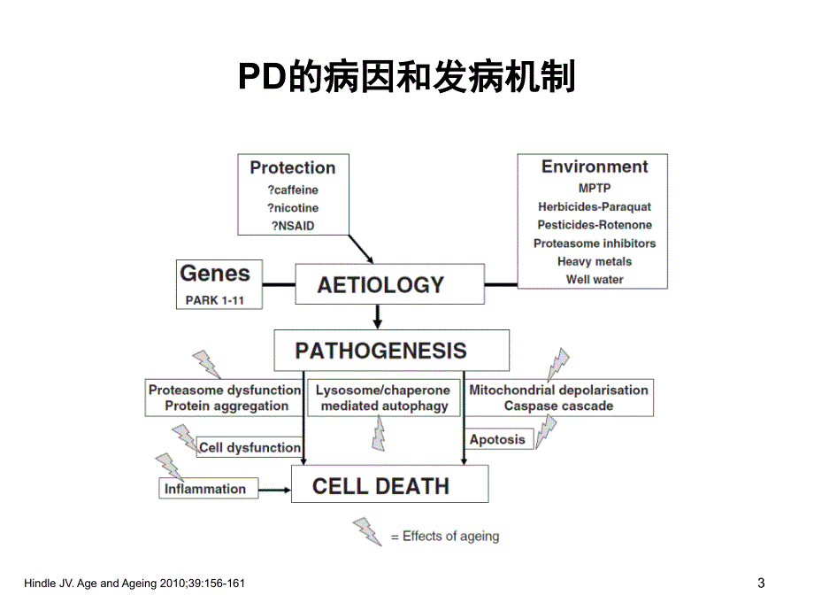 从发病机制谈PD神经保护策略_第3页