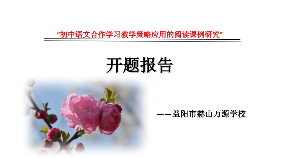 初中语文合作学习教学策略应用的阅读课例研究-开题报告_第1页