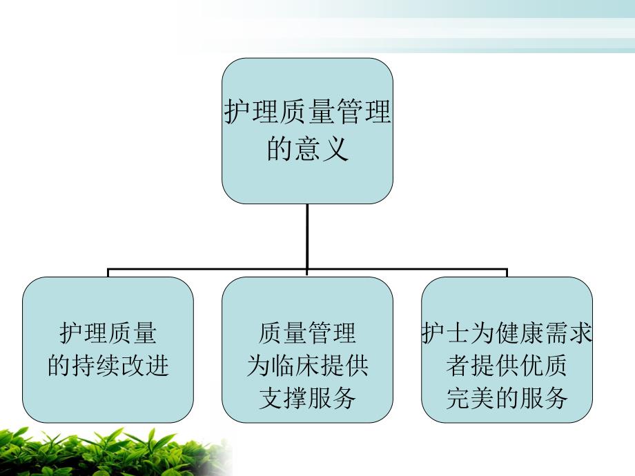 五常法在护理质量持续改进与规范化服务中的应用_第3页