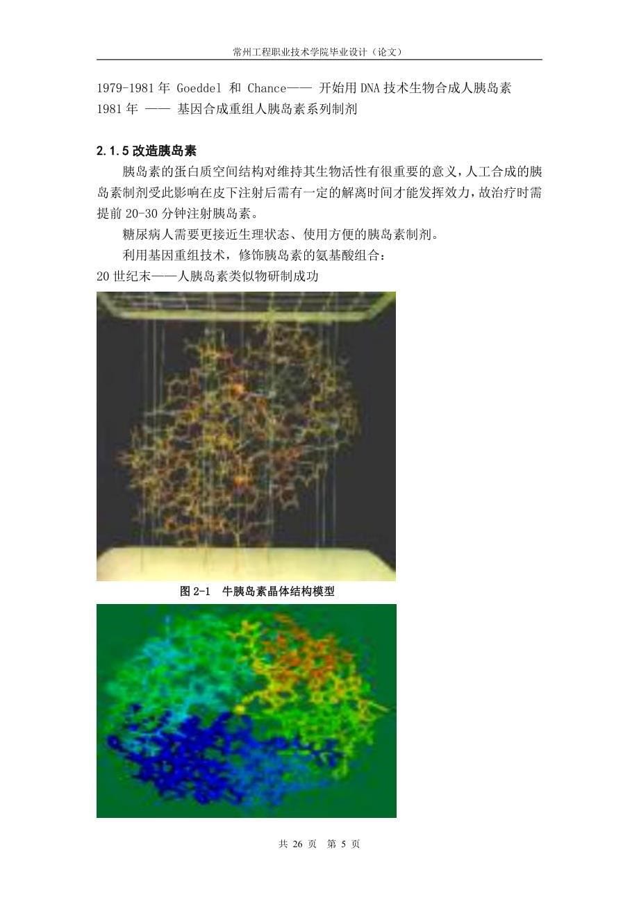 化学制药技术毕业设计(论文)-胰岛素新剂型的研究与进展肺部吸入给药制剂(含外文翻译)_第5页