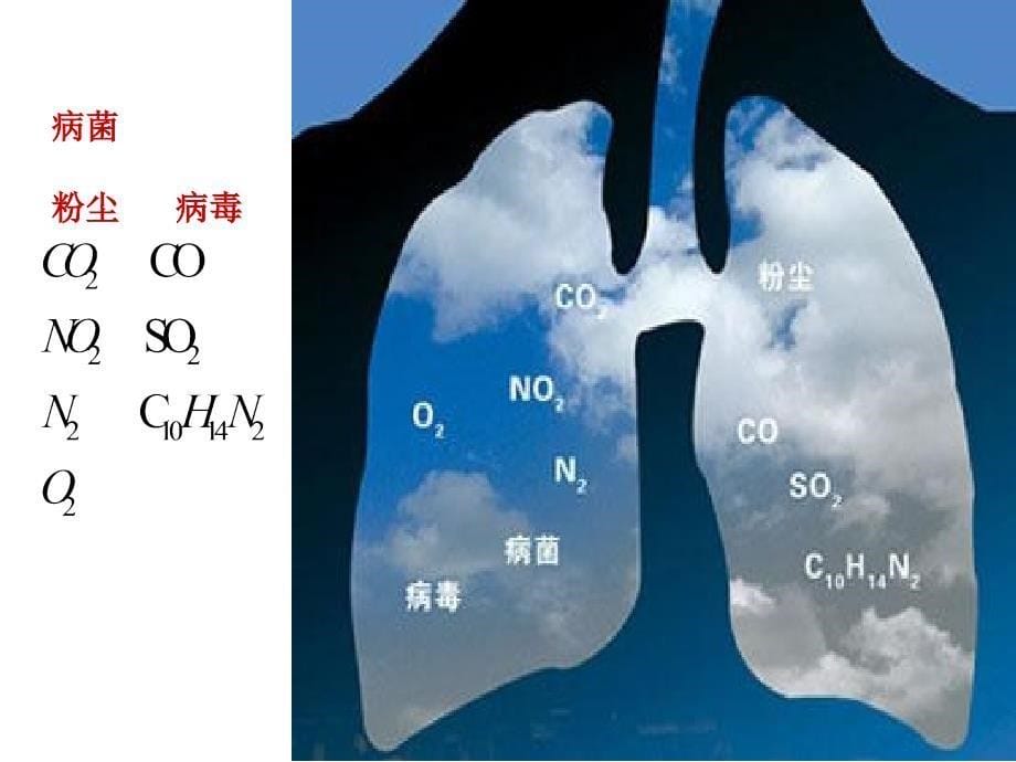 雾霾知识认识学习专题讲座PPT_第5页