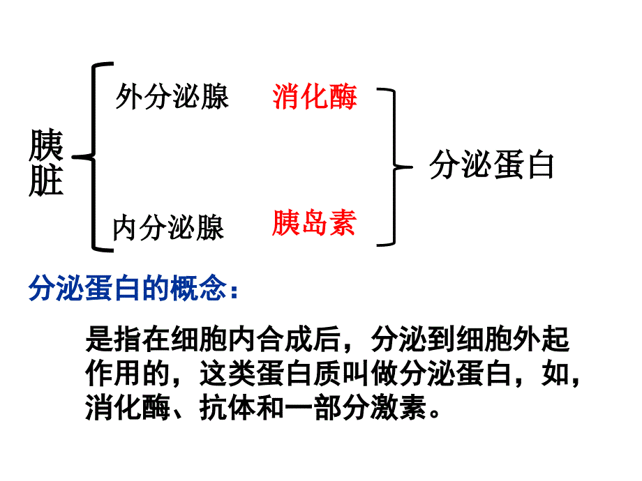 高一生物蛋白质合成与运输_图文_第4页