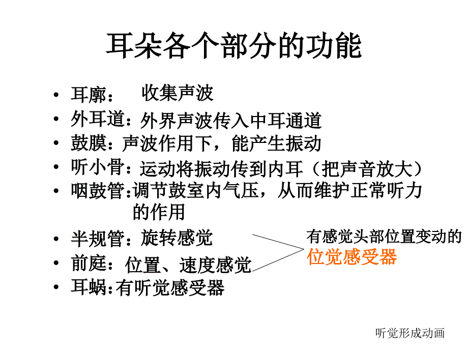 七年级科学耳和听觉1_图文_第3页