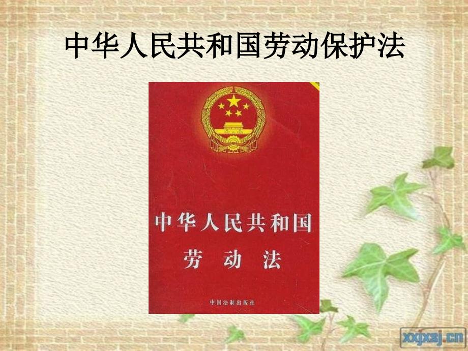 中华人民共和国劳动保护法_第1页