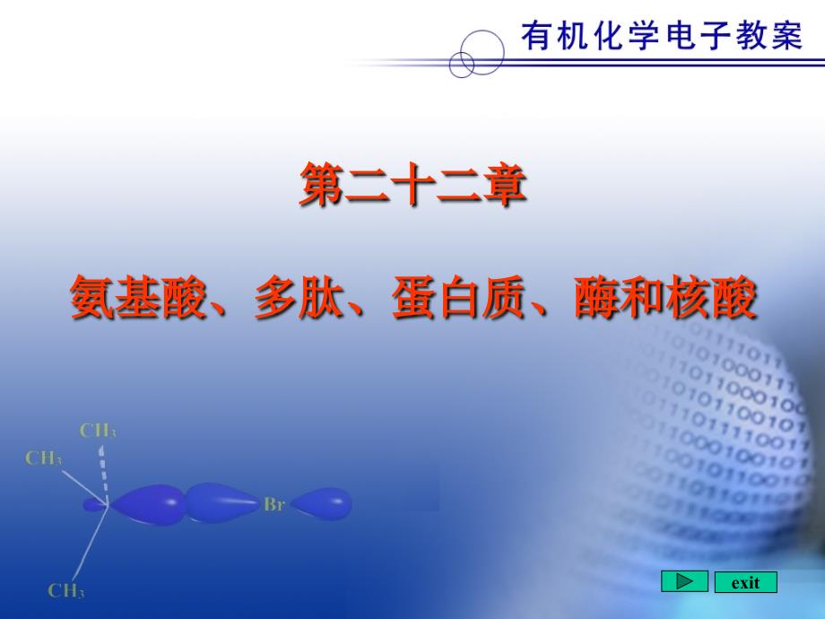 北京大学有机化学-氨基酸、多肽、蛋白质、酶和核酸_第1页