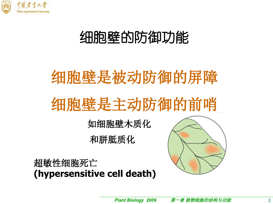 《植物生物学》01-2 植物细胞的结构与功能_第3页