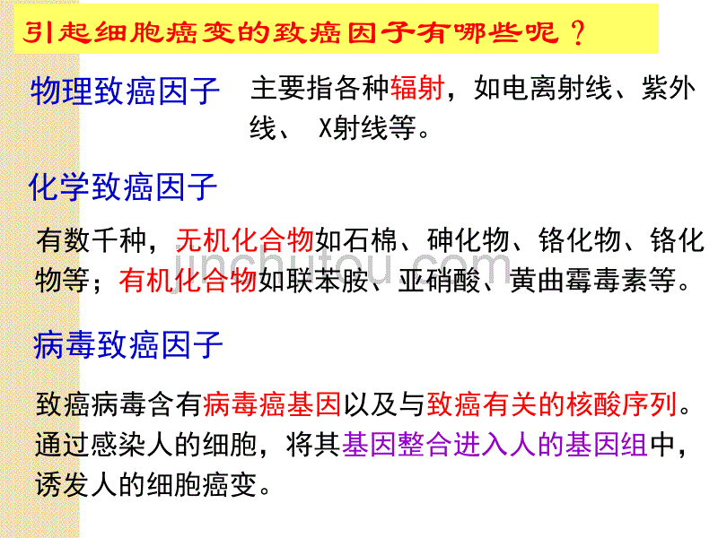 生物64《细胞的癌变》课件(新人教版必修1)_图文_第4页