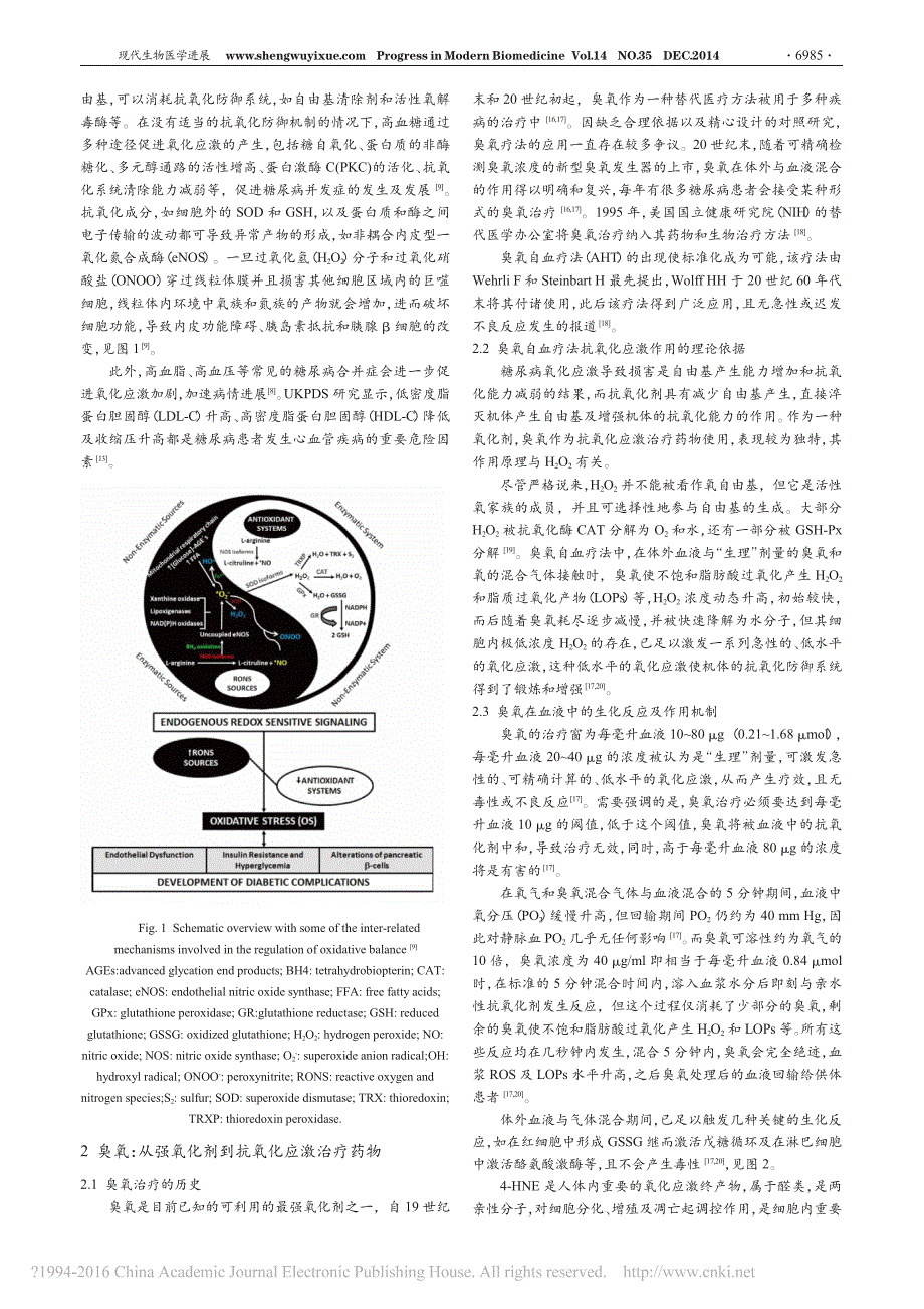 臭氧自血疗法及其在糖尿病治疗中的应用_安凌王_第2页