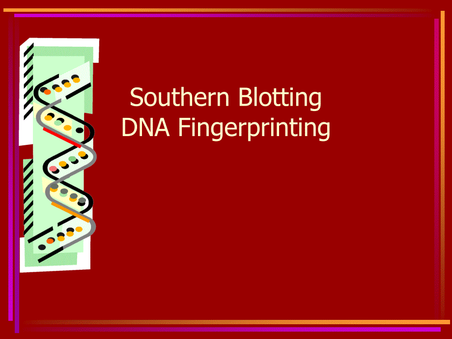 Southern Blotting DNA Fingerprinting_第1页