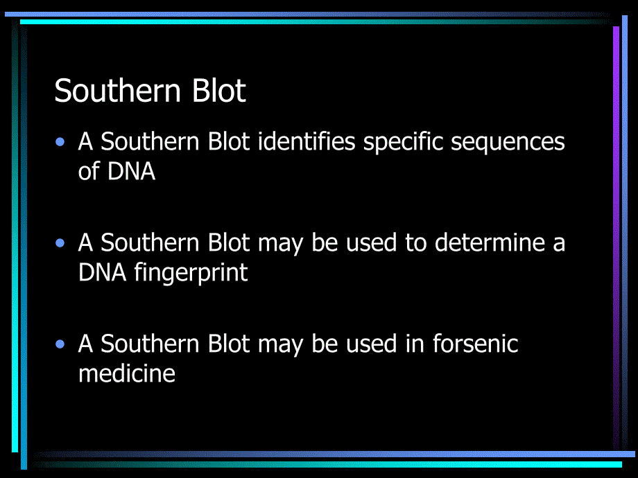 Southern Blotting DNA Fingerprinting_第2页