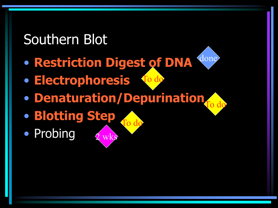 Southern Blotting DNA Fingerprinting_第3页