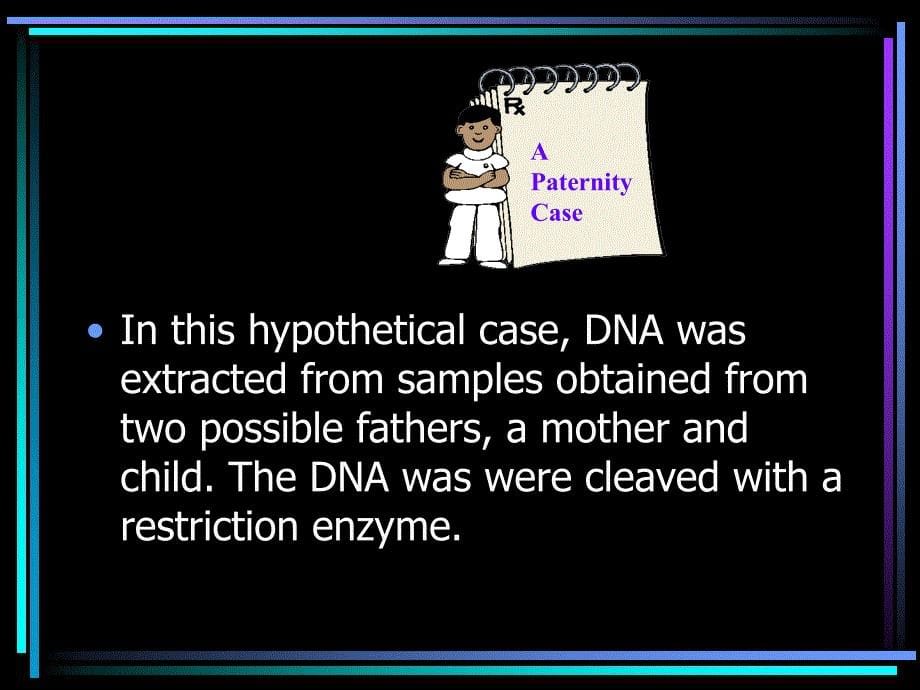 Southern Blotting DNA Fingerprinting_第5页