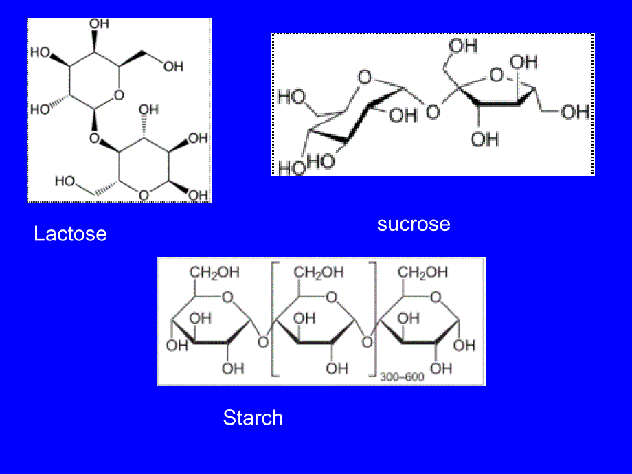 biochemistry 中国药科大学考研复试专业英语部分_第4页