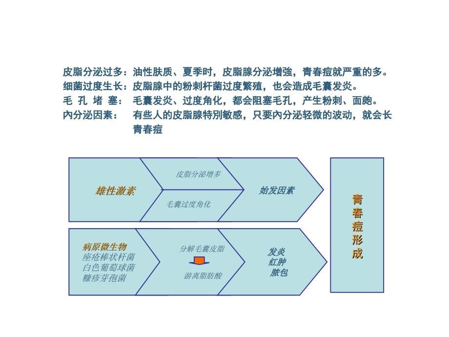 祛痘产品配方设计及其功效评价_第5页