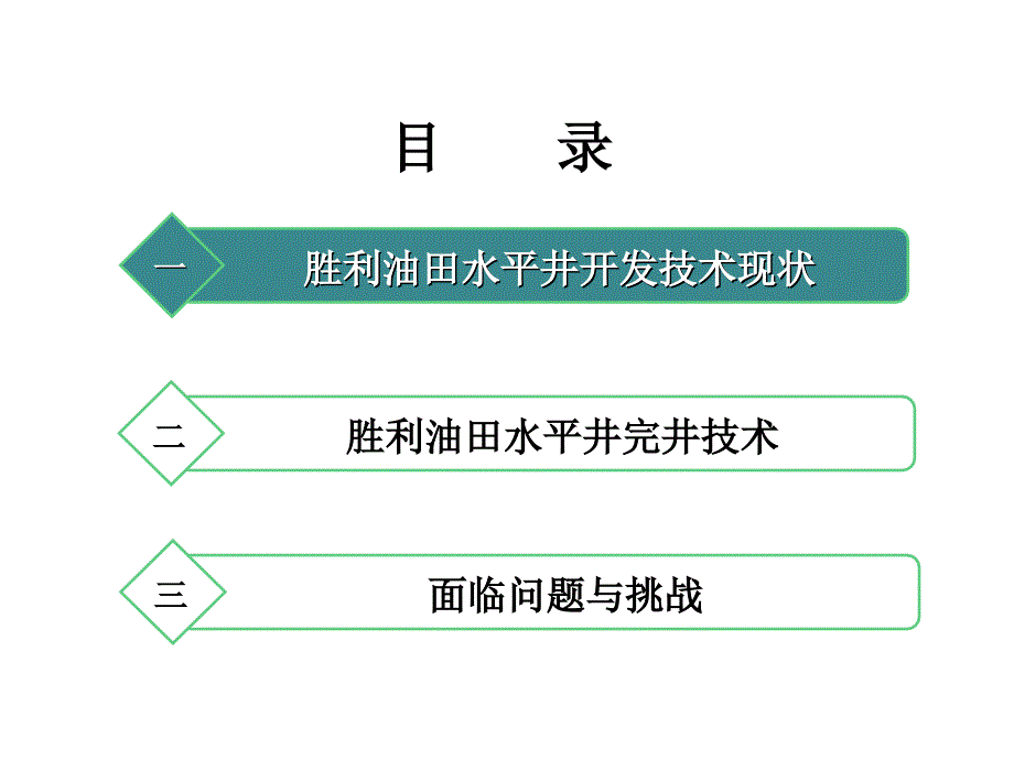 210542988_胜利油田水平井完井采油技术_第2页