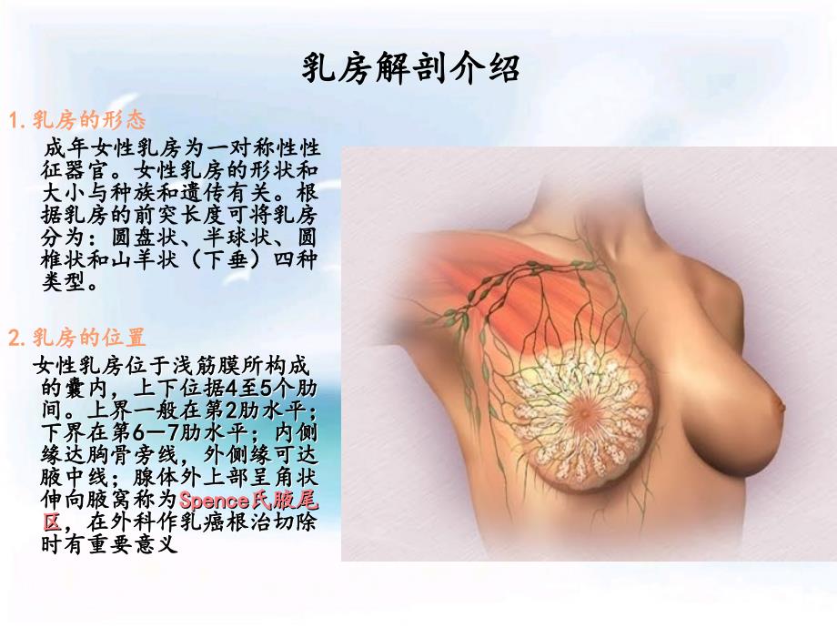 急性乳腺炎护理 ppt课件_第3页