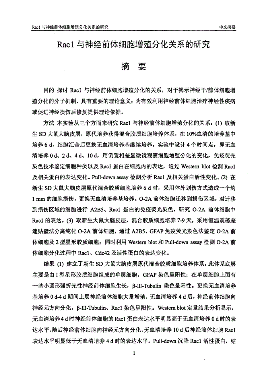 Rac1与神经前体细胞增殖分化关系的研究_第1页