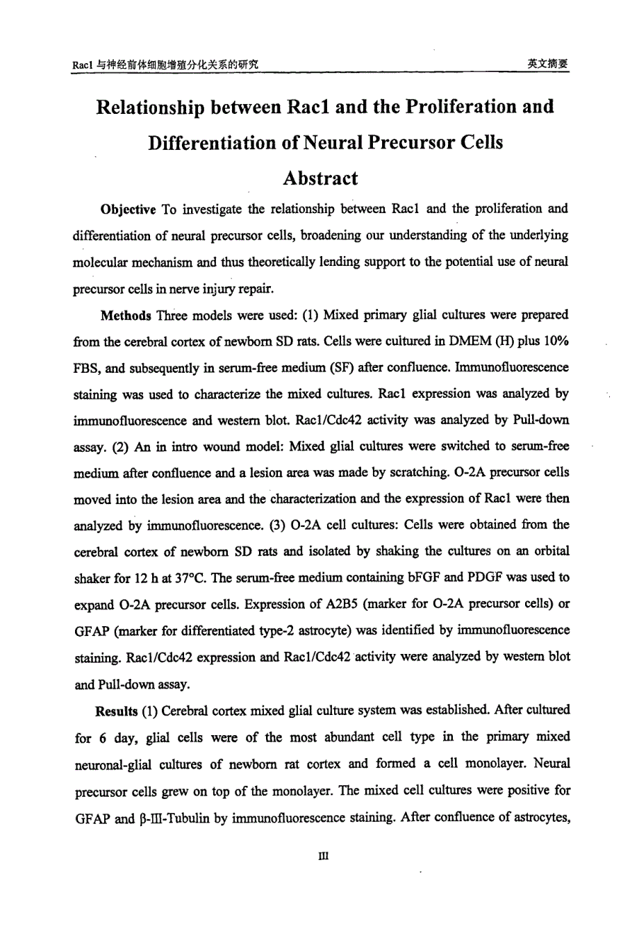 Rac1与神经前体细胞增殖分化关系的研究_第3页