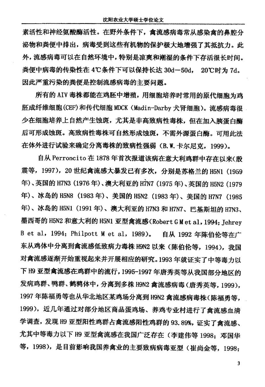 H9亚型禽流感病毒单克隆抗体的制备与胶体金诊断试纸条的初步研制_第5页