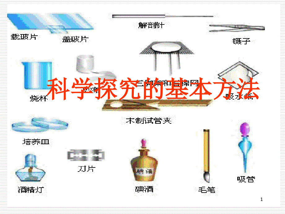 科学探究的基本方法_第1页