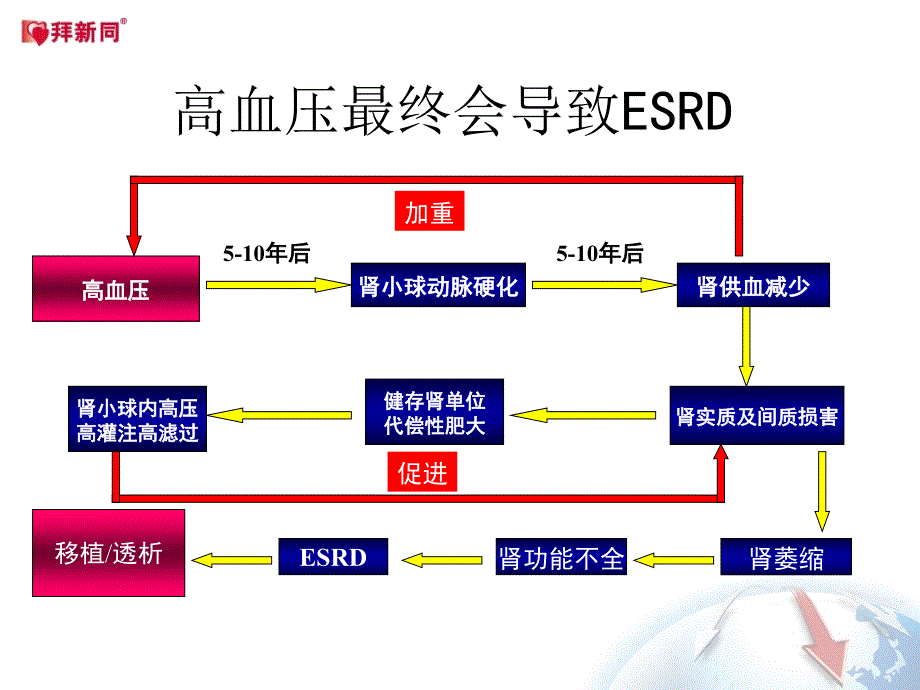 透析患者抗高血压药物的优化选择_第4页