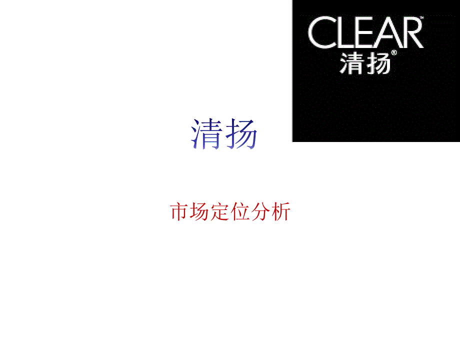 清扬市场定位分析_第1页