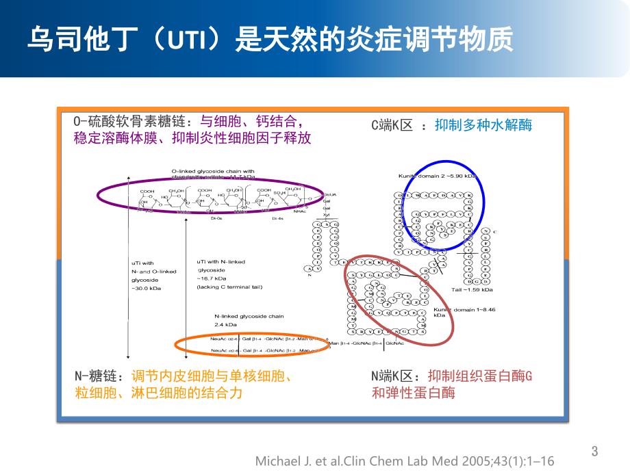 乌司他丁对炎症组织灌注及脏器损伤的影响 ppt课件_第3页