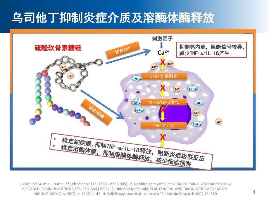 乌司他丁对炎症组织灌注及脏器损伤的影响 ppt课件_第4页