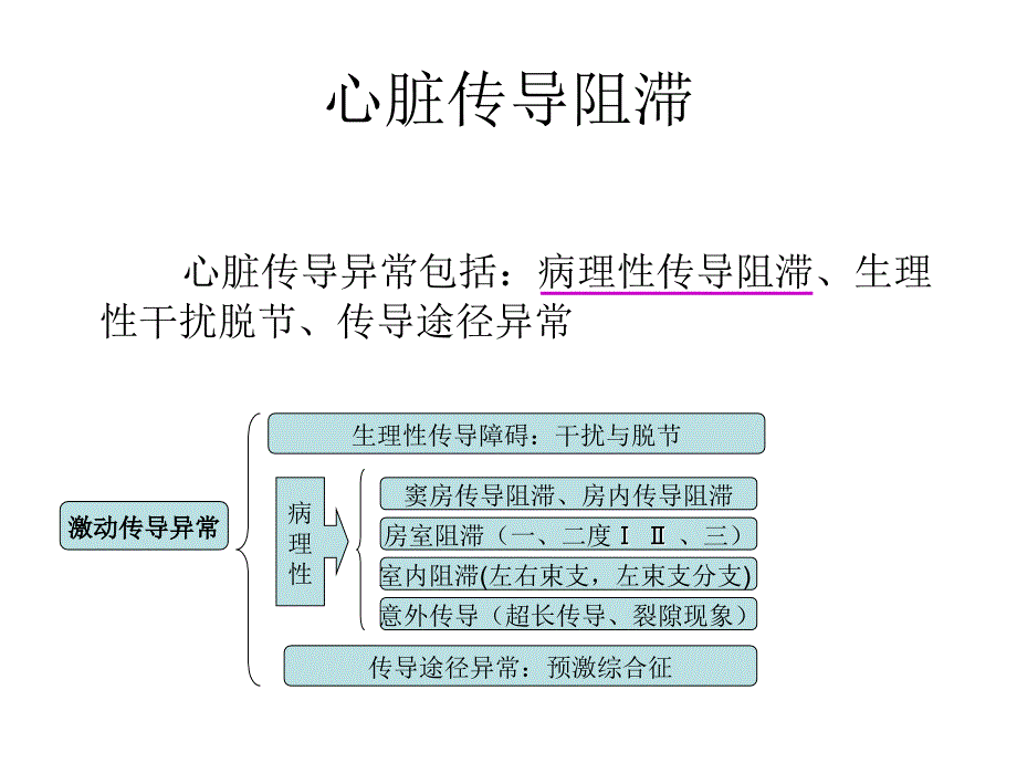 心脏传导 PPT课件_第2页