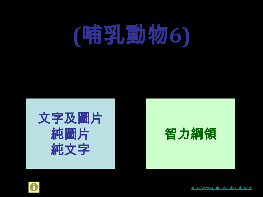 杜曼教学闪卡哺乳動物6-chi-poi群策1-may_第1页