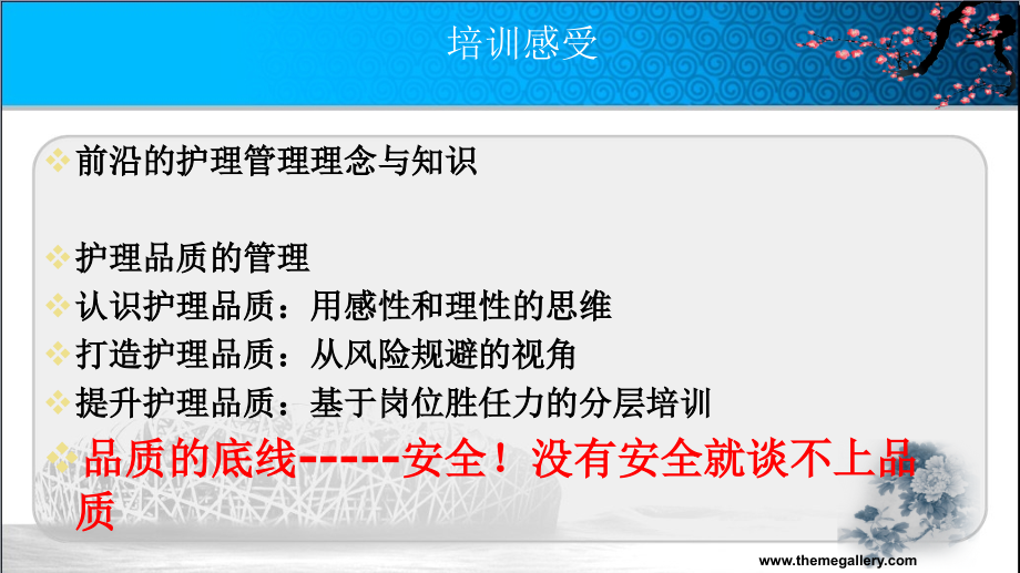 护理用药安全与管理.ppt_第2页