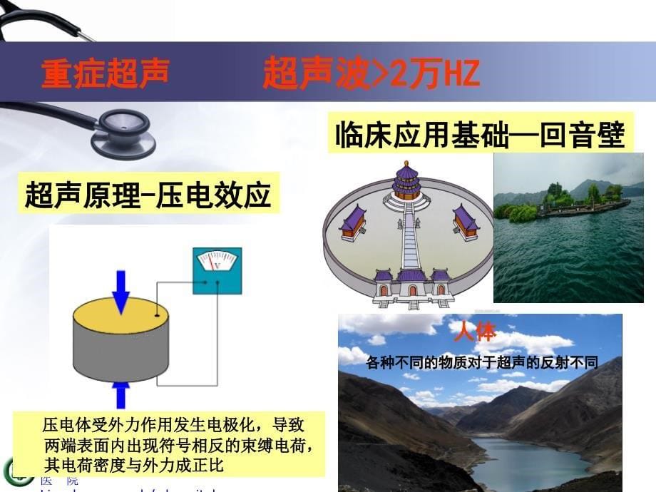 医学ppt--重症超声在icu的应用_第5页