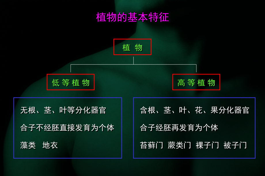 七、转基因生物技术_第4页