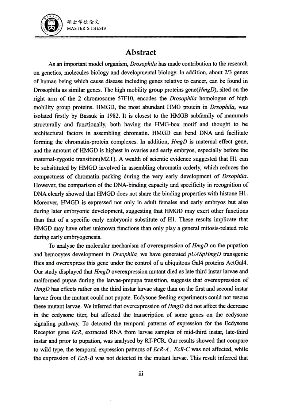 HmgD过量表达对果蝇化蛹及血细胞发育影响机制的研究_第3页